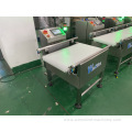 Automatic Bag Food Conveyor CW2000 Check Weigher 3000g For Weight Checking